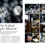 verba-volant-l'officiel-baltic